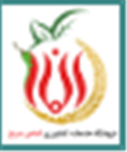 لوگوی الماس سرخ 